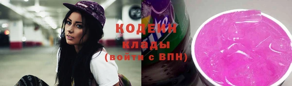 индика Пролетарск