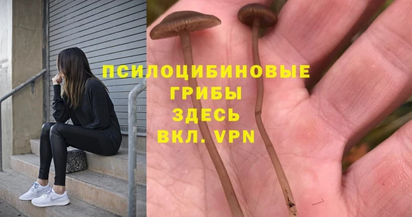 спайс Алзамай